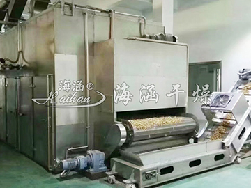 水果专用干燥设备